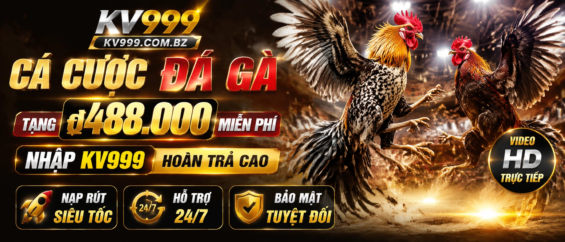Đá Gà Trực Tiếp KV999 trên giao diện mobile