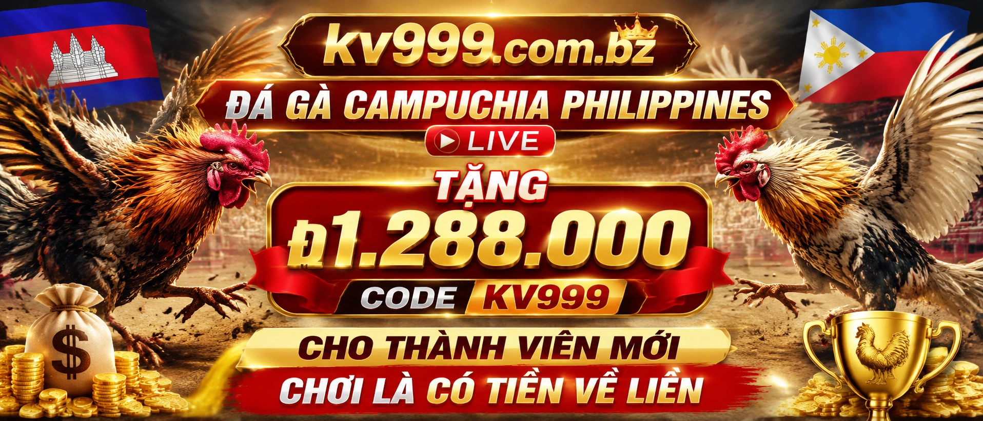 Không gian Đá Gà KV999 với nội dung trực tiếp